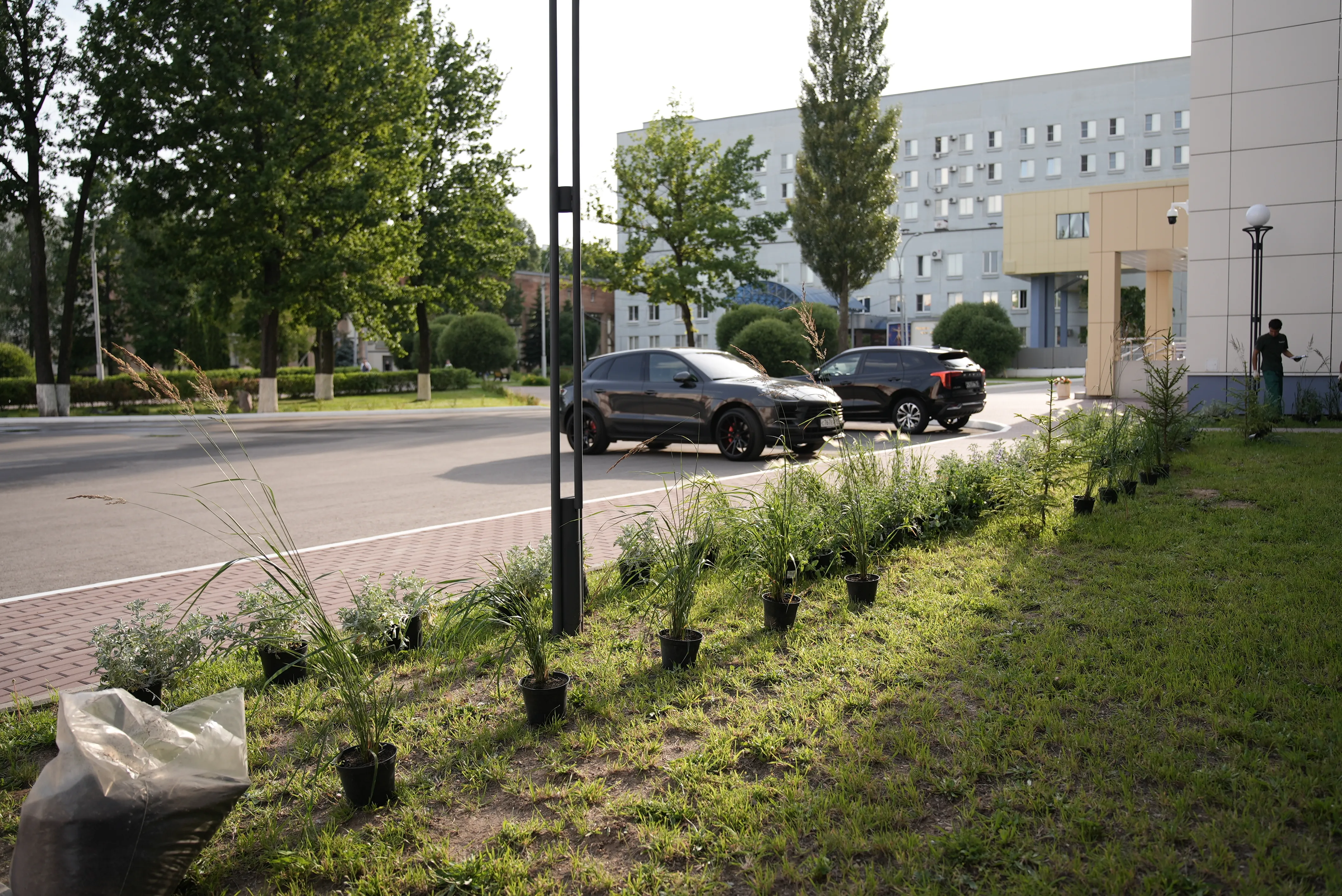 Больница Fixgarden