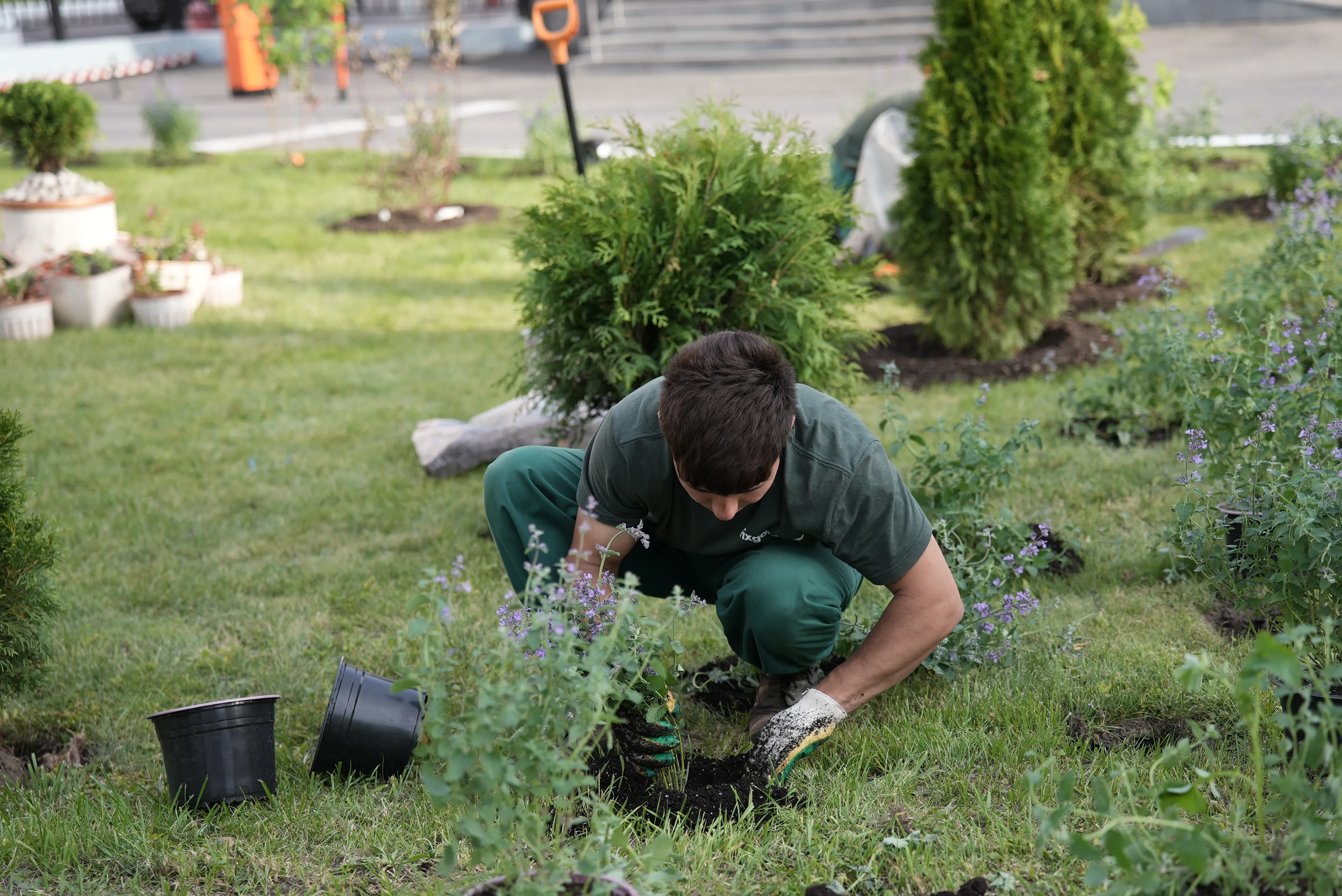 Больница Fixgarden