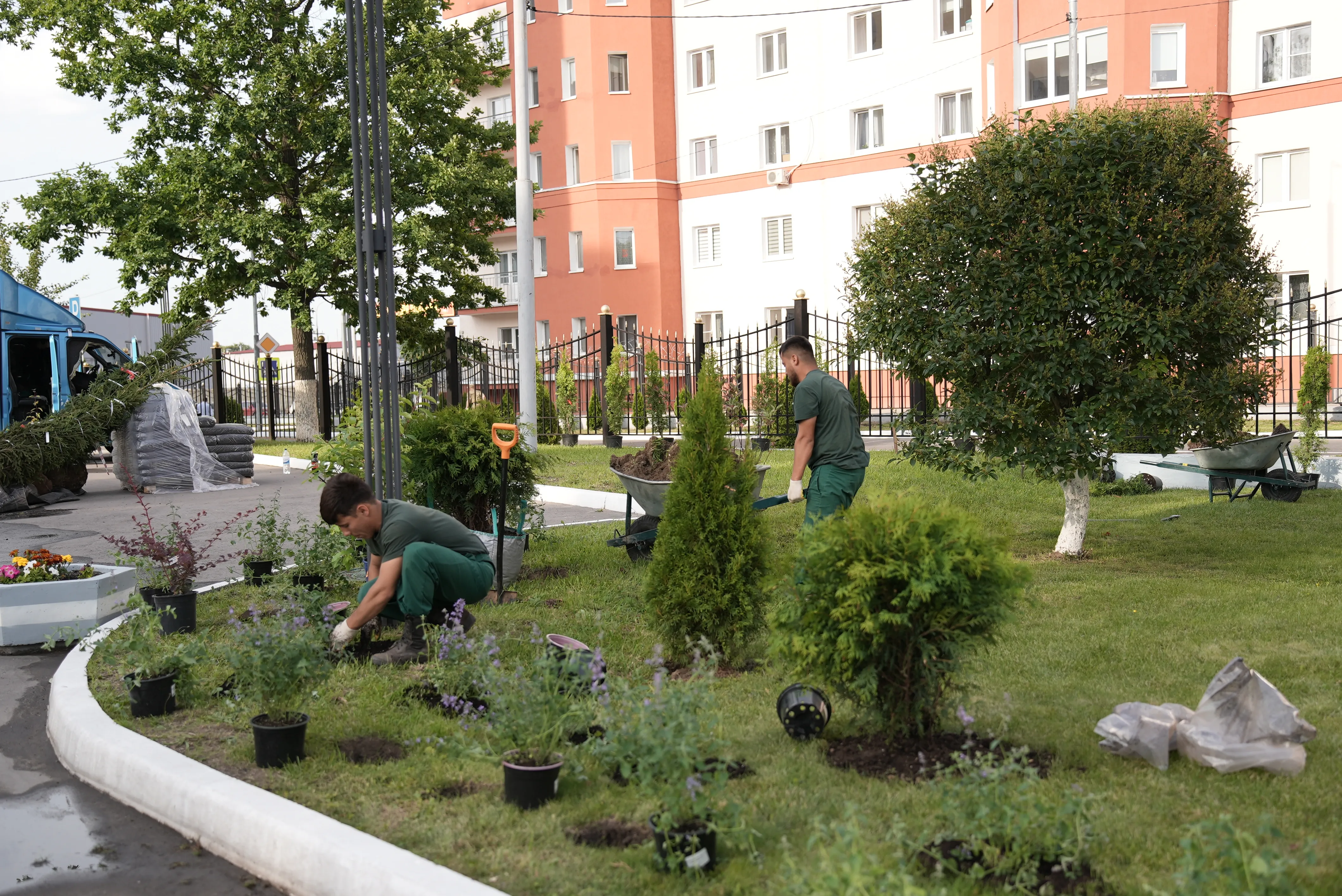 Больница Fixgarden