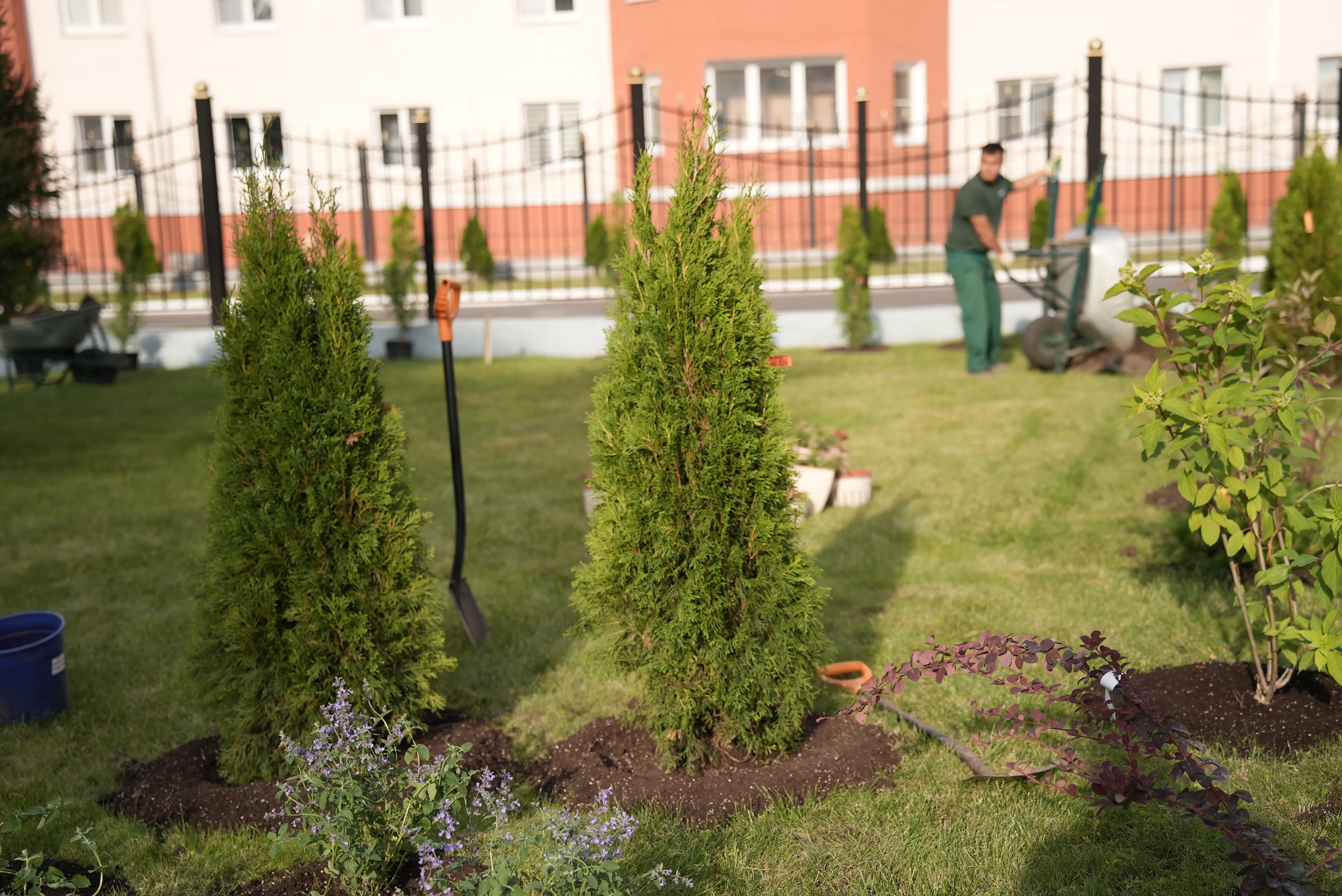 Больница Fixgarden