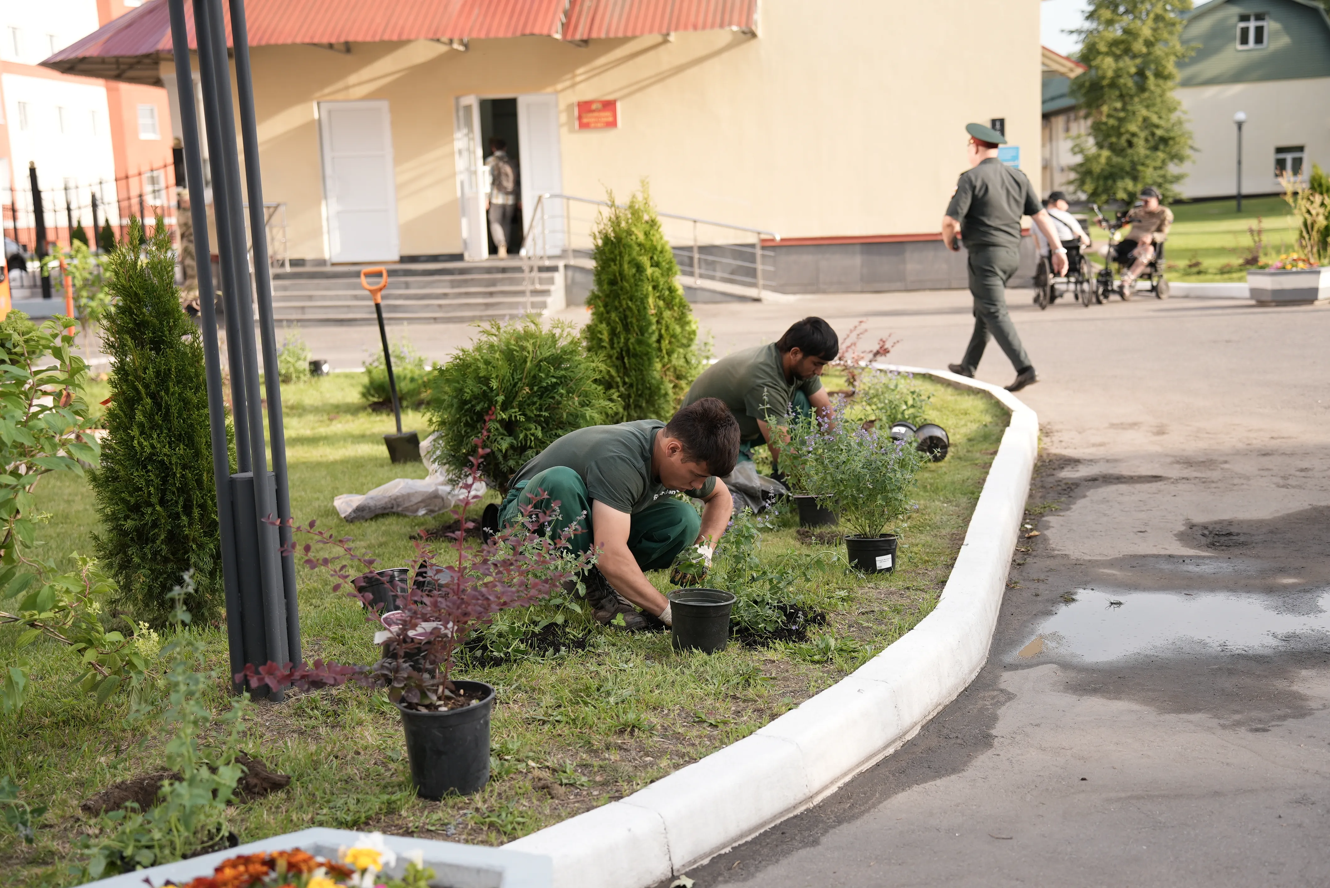 Больница Fixgarden