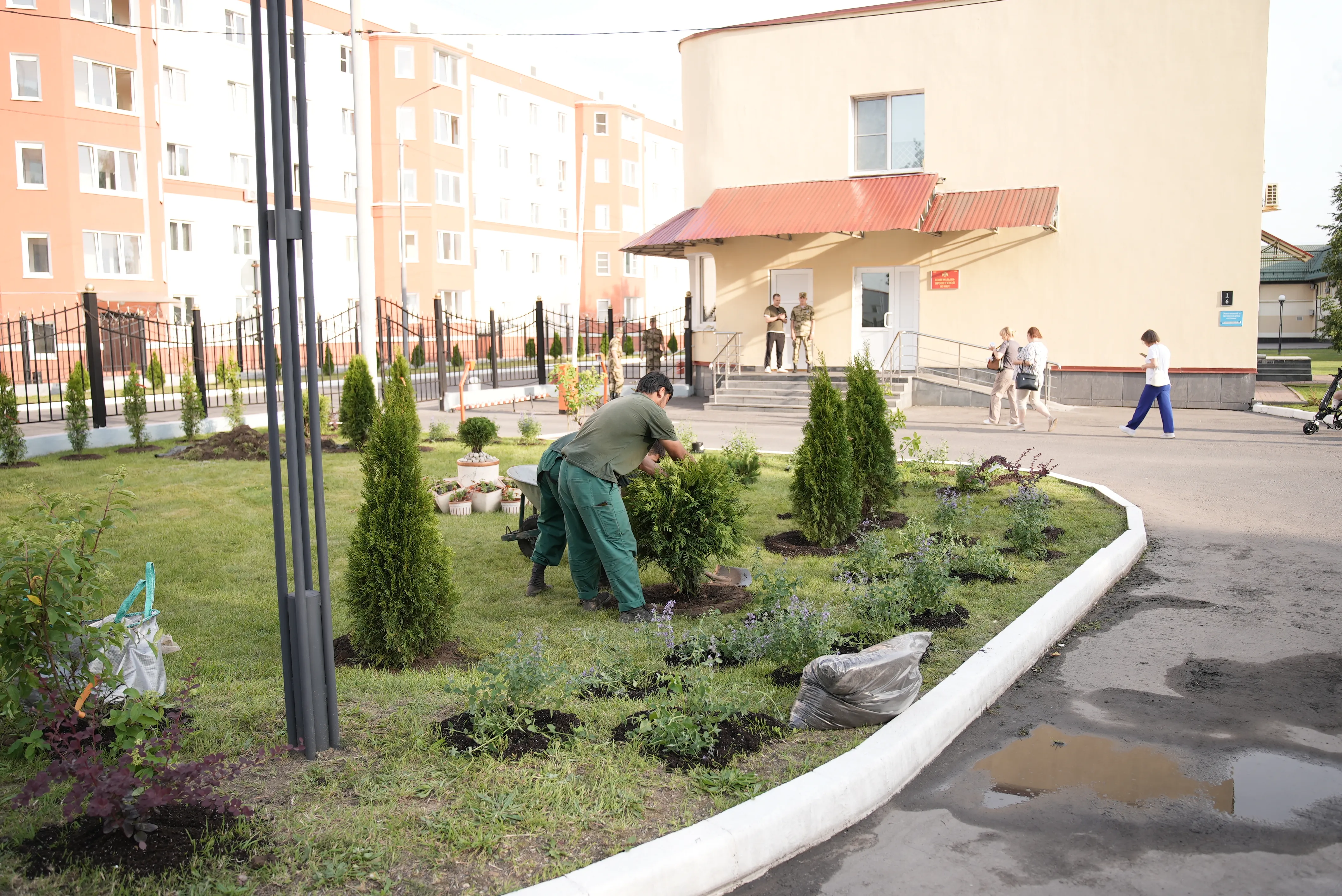 Больница Fixgarden