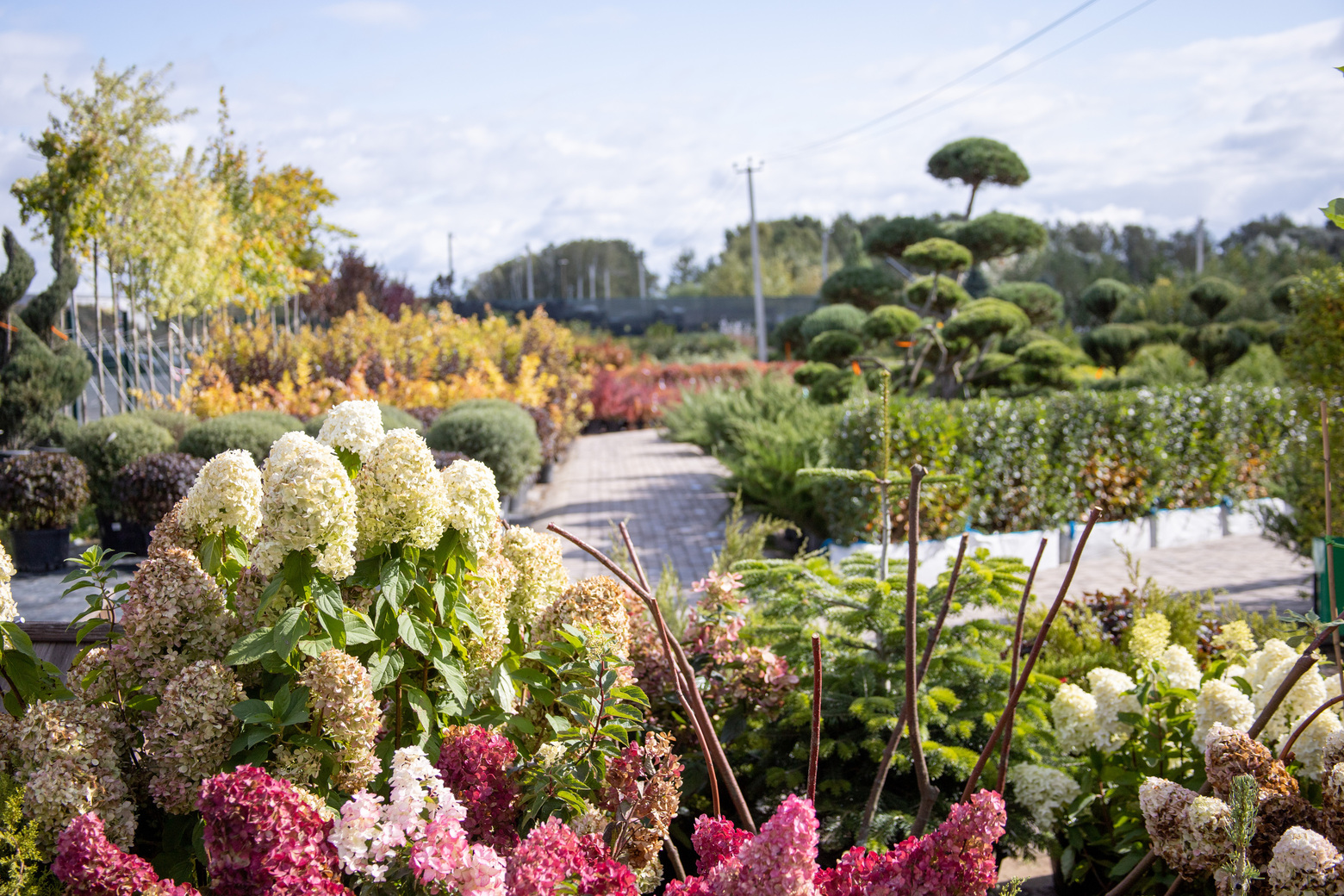 Питомник Fixgarden