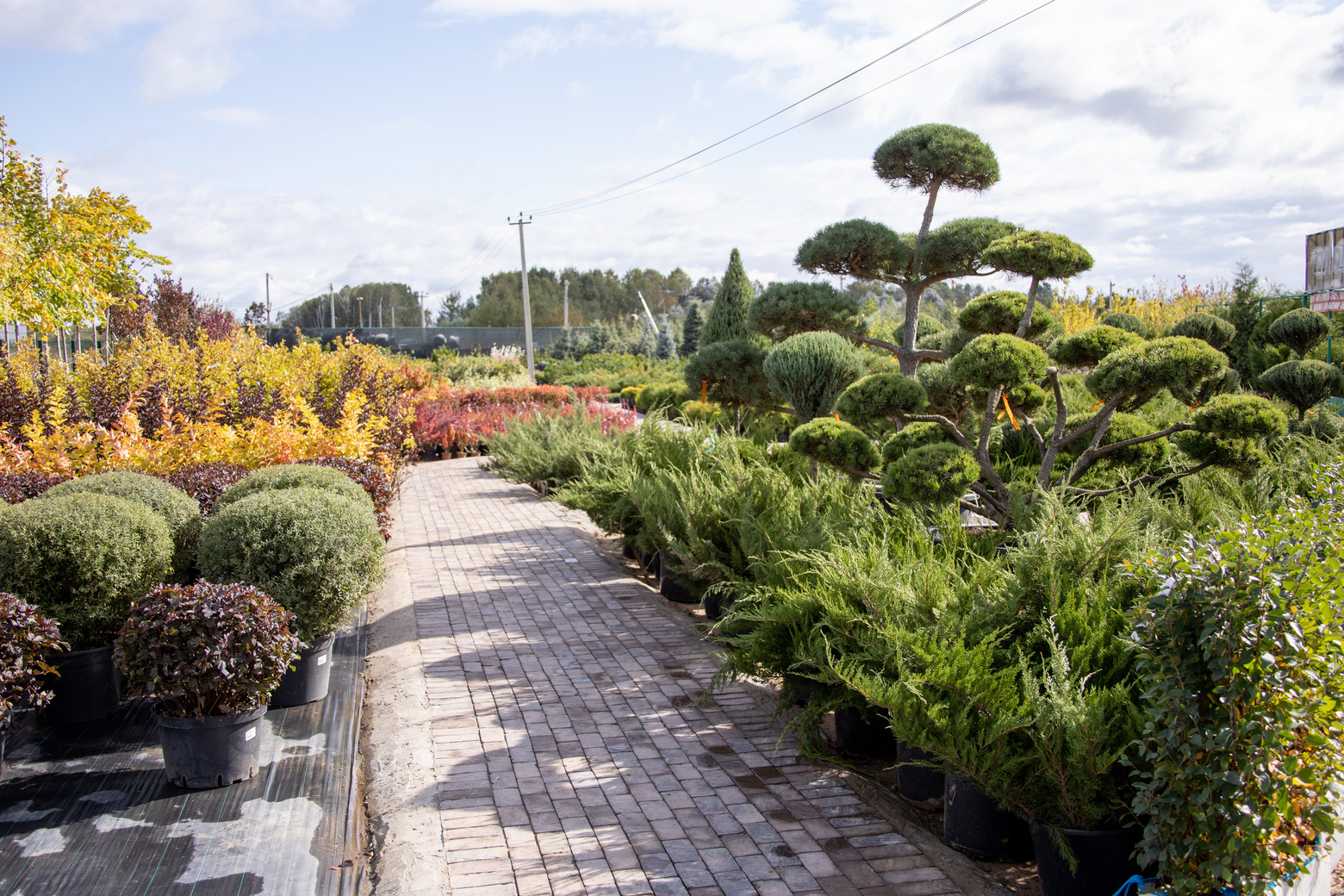 Питомник Fixgarden