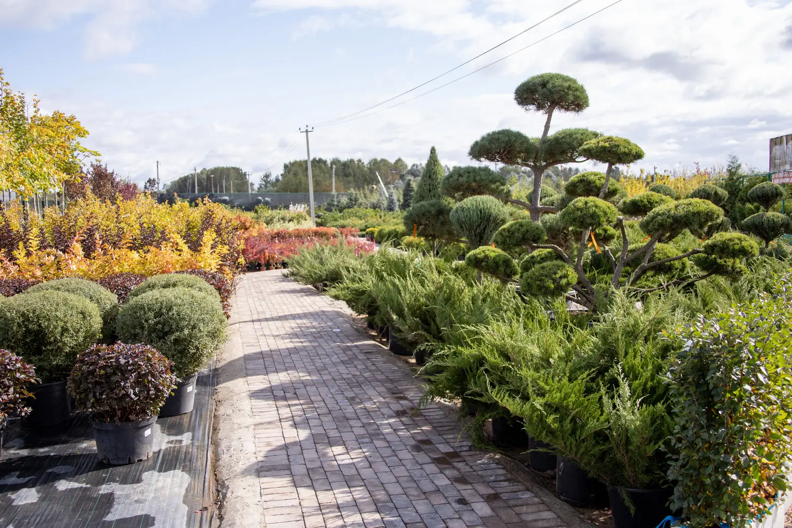 Питомник Fixgarden