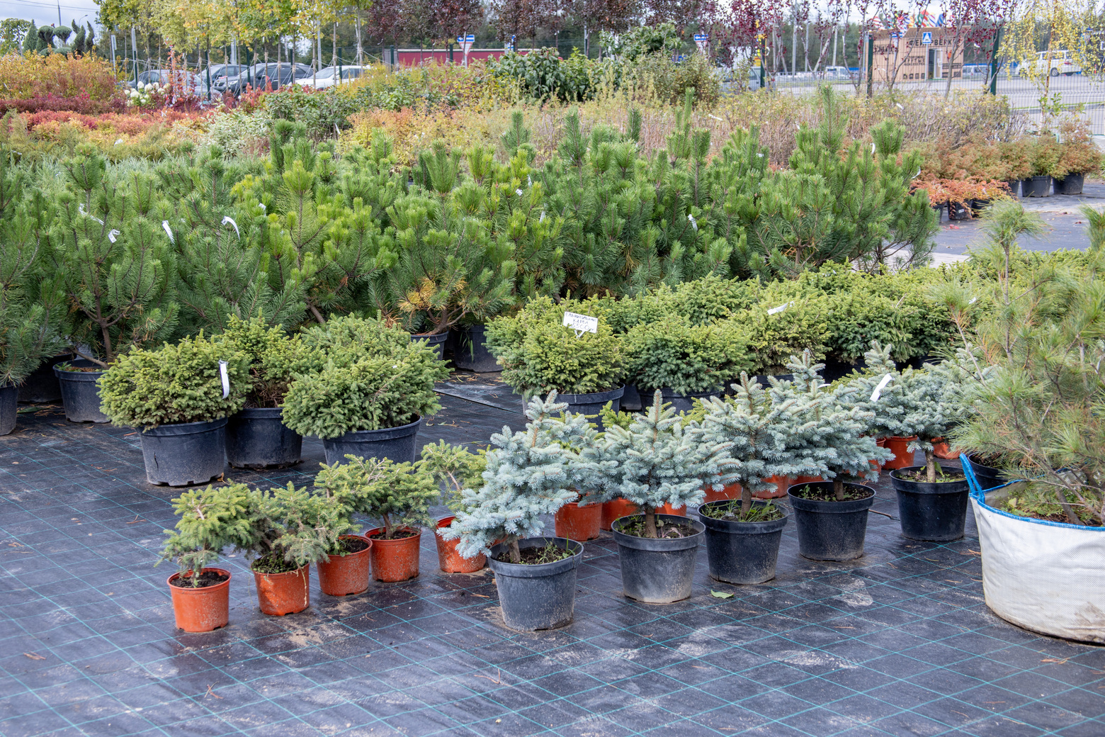 Питомник Fixgarden