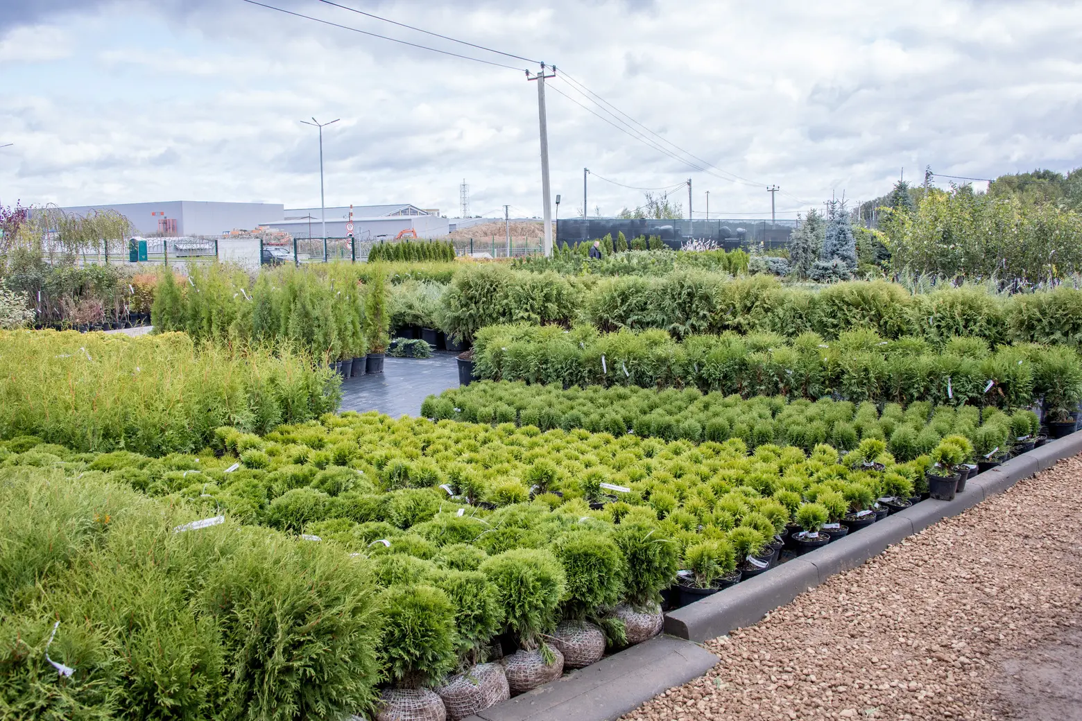 Питомник Fixgarden