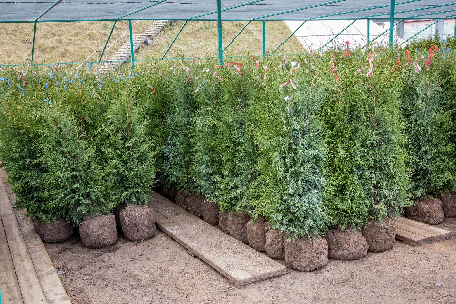 Питомник Fixgarden