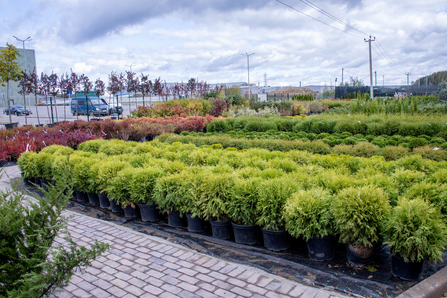 Питомник Fixgarden