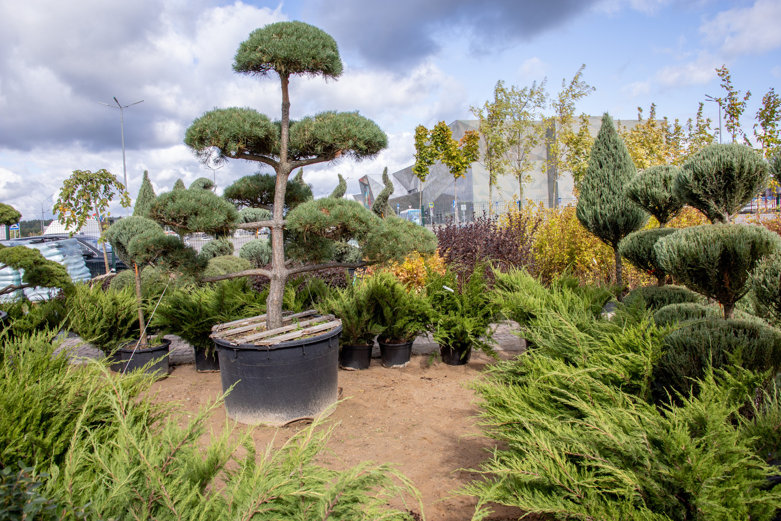 Питомник Fixgarden