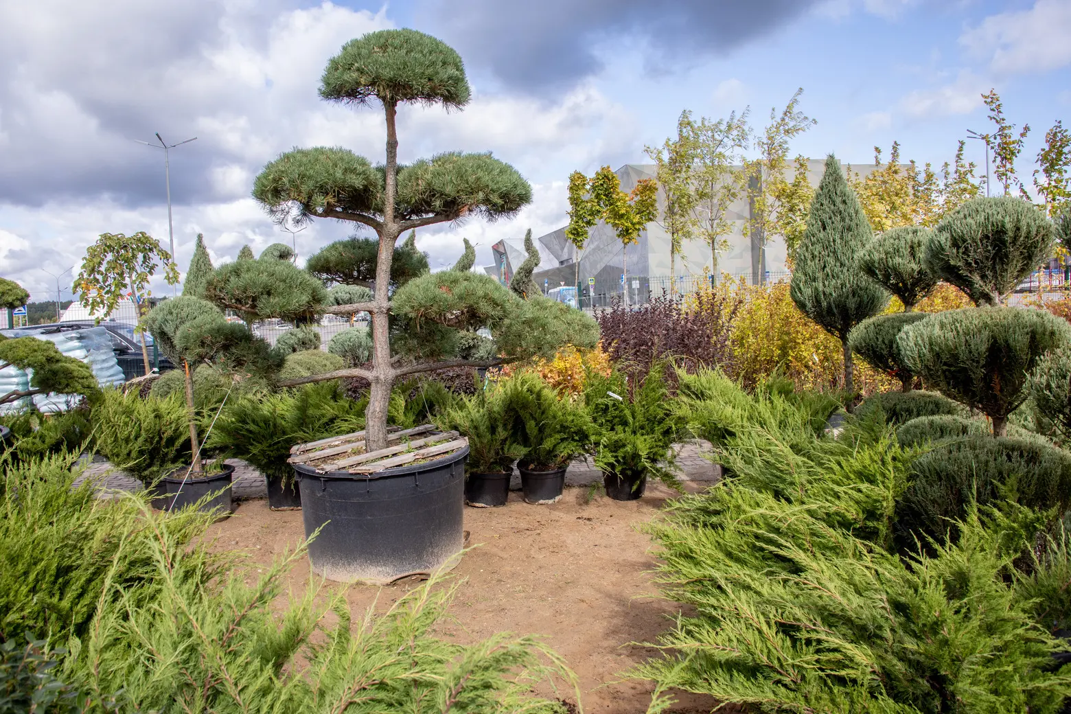 Питомник Fixgarden