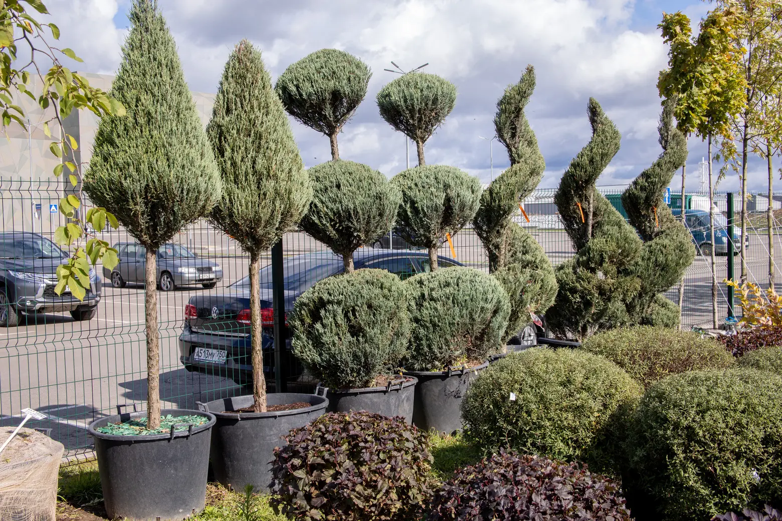 Питомник Fixgarden