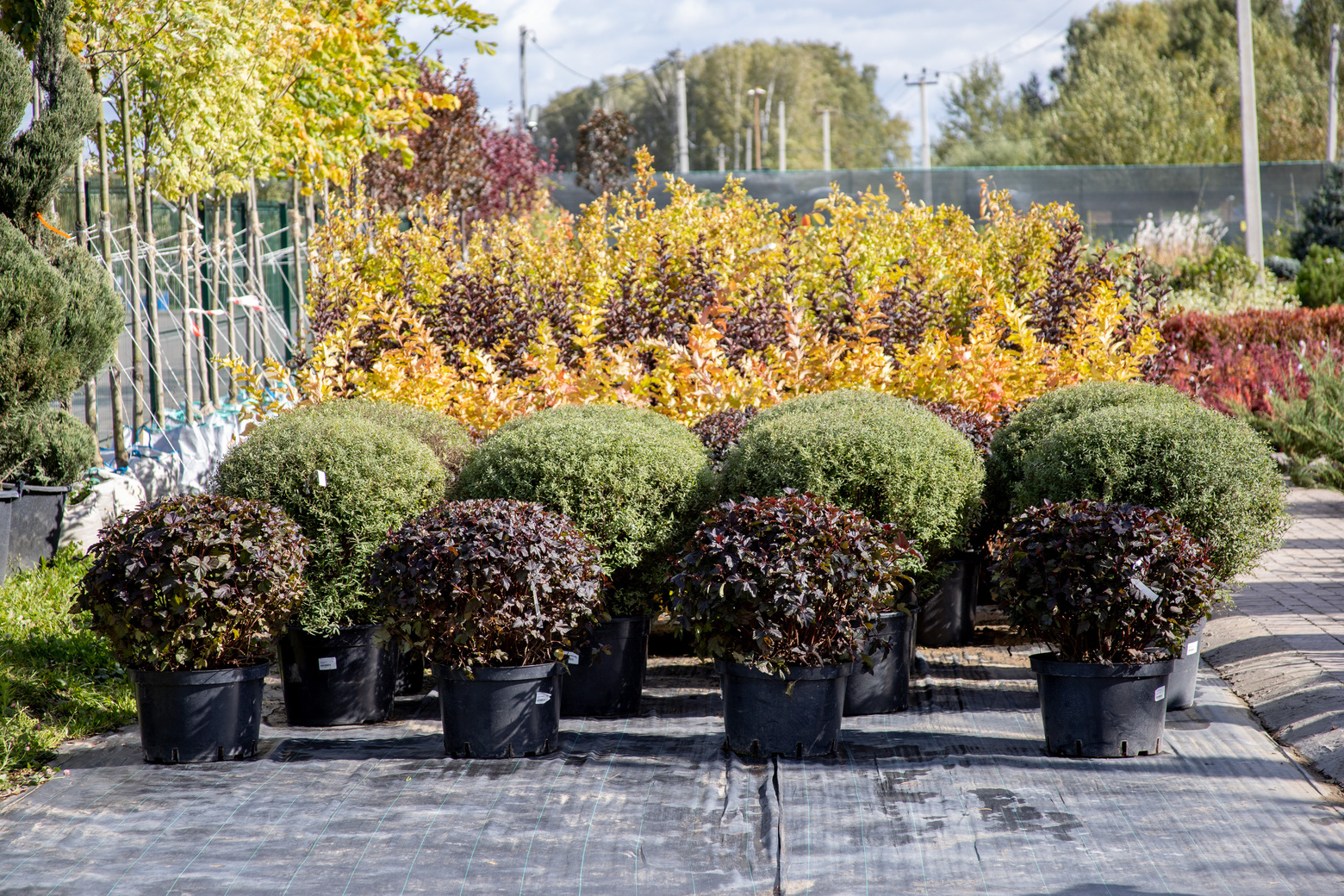 Питомник Fixgarden