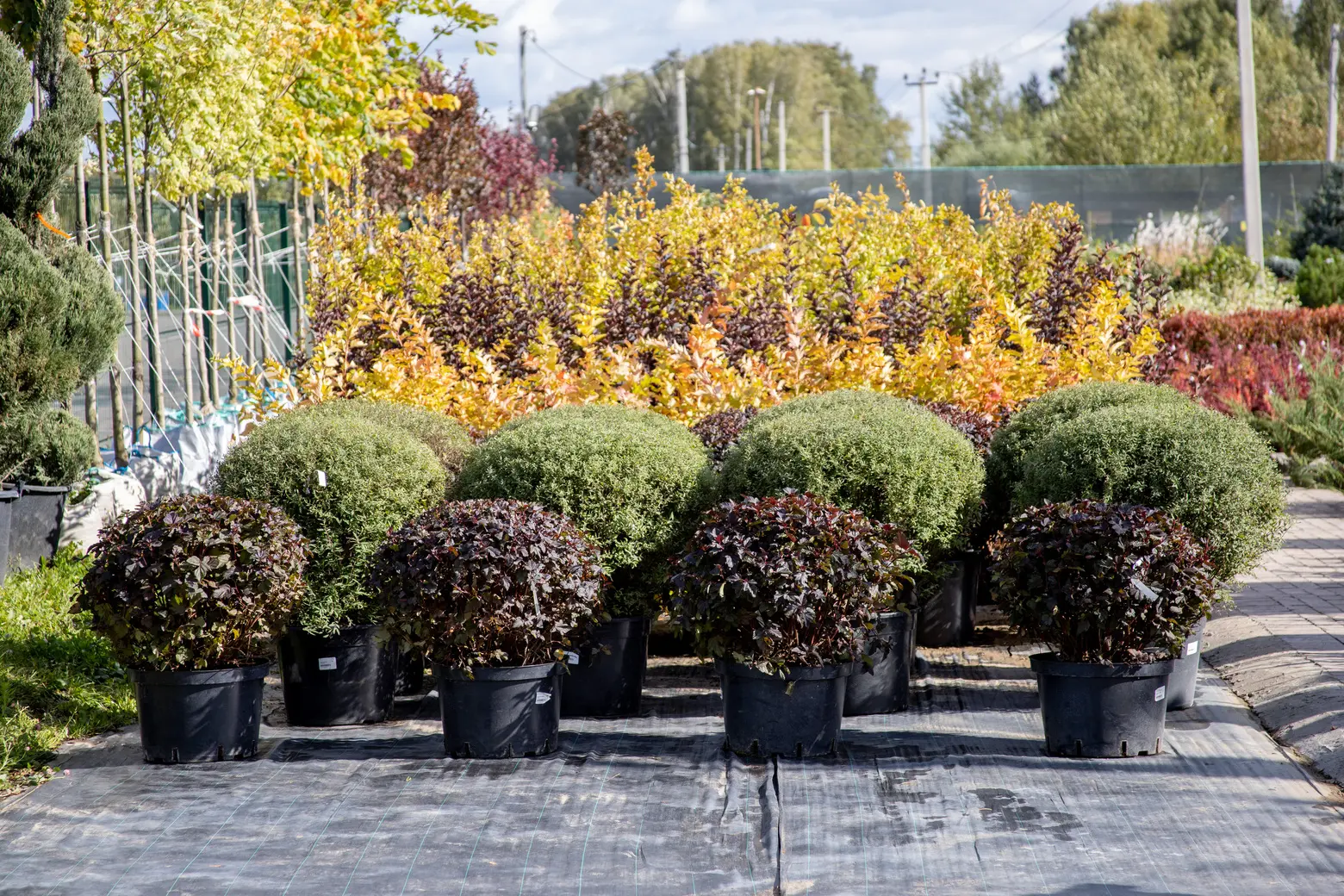 Питомник Fixgarden