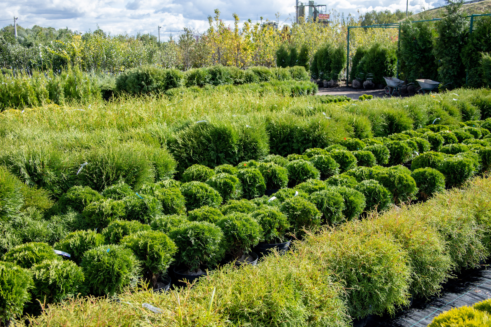 Питомник Fixgarden