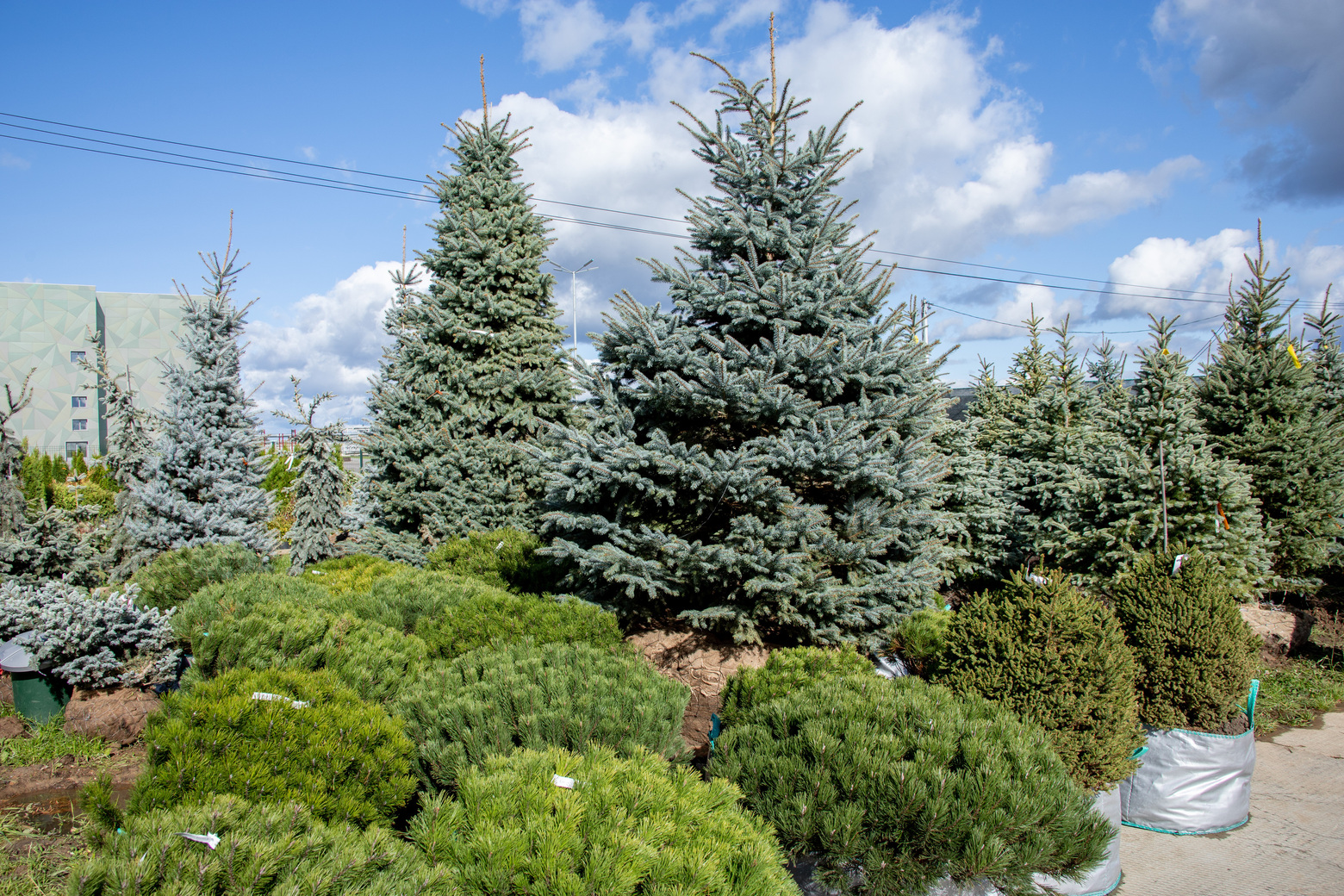 Питомник Fixgarden