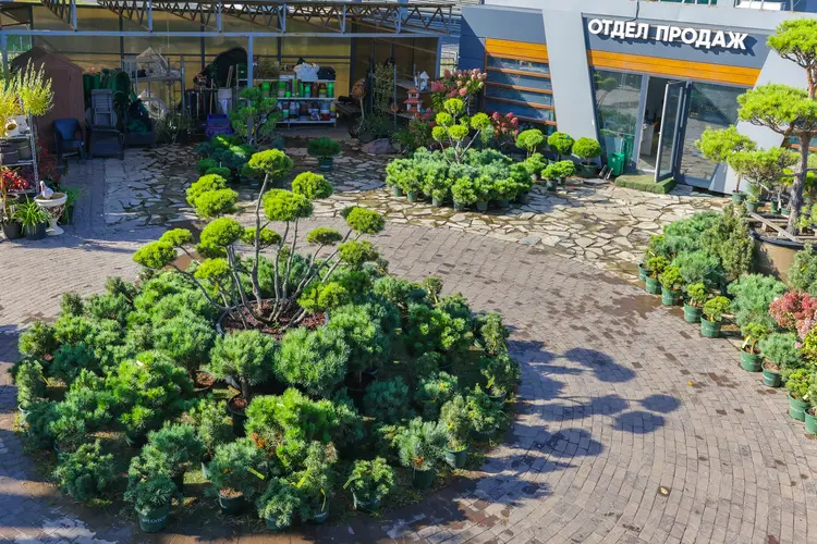 Питомник Fixgarden