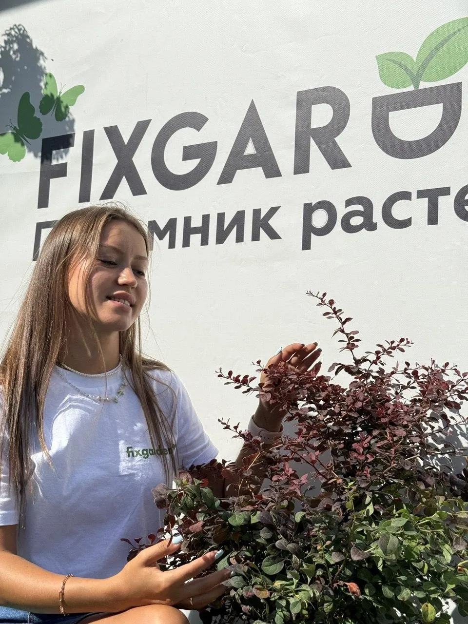 Барбарис Тунберга Атропурпуреа