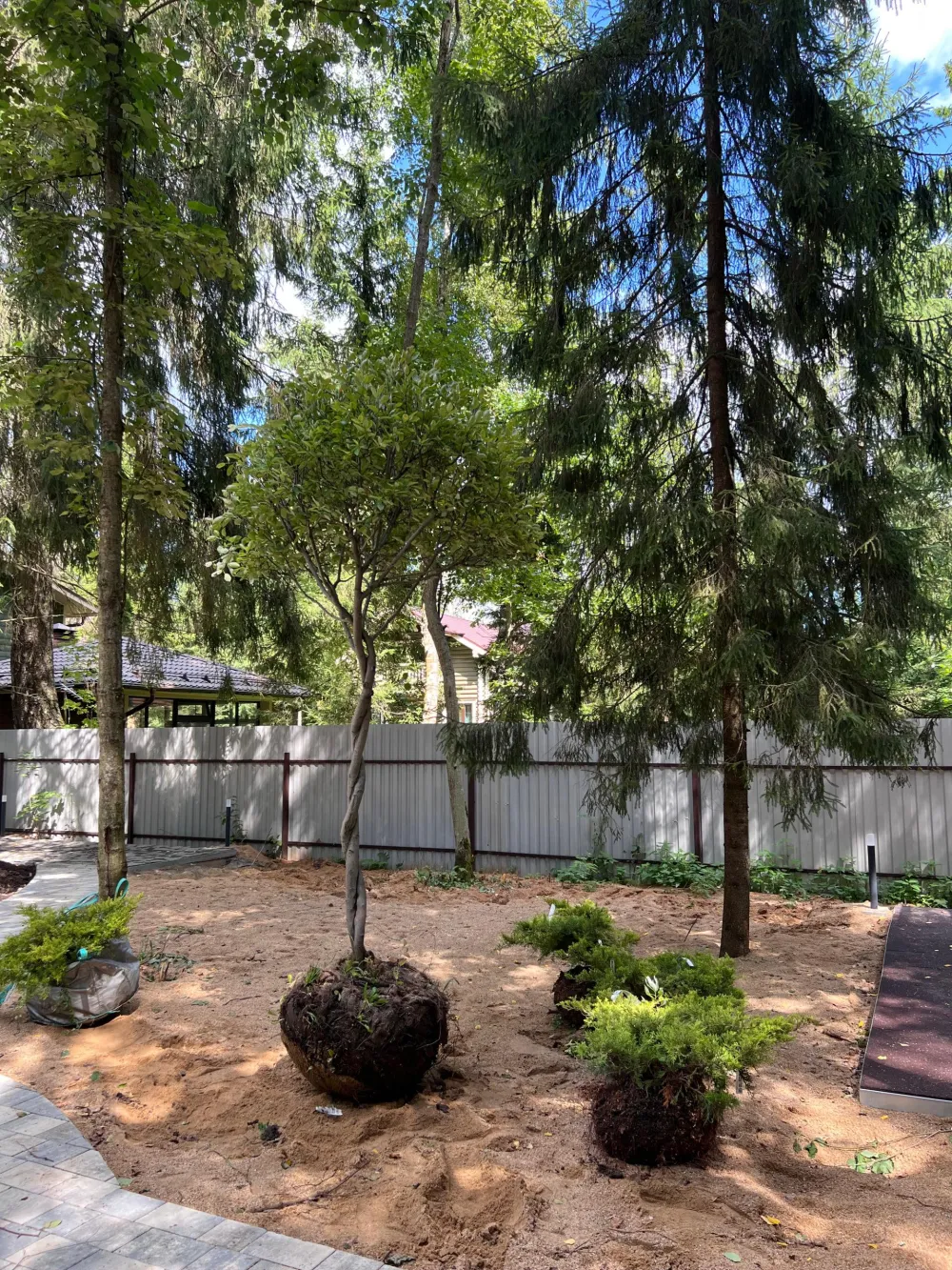 Ирга Ламарка